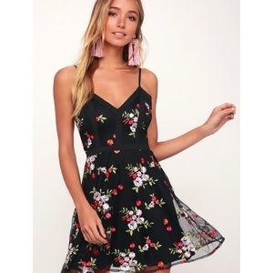 Favorite Fleur Black Mesh Floral Embroidered Skater Dress